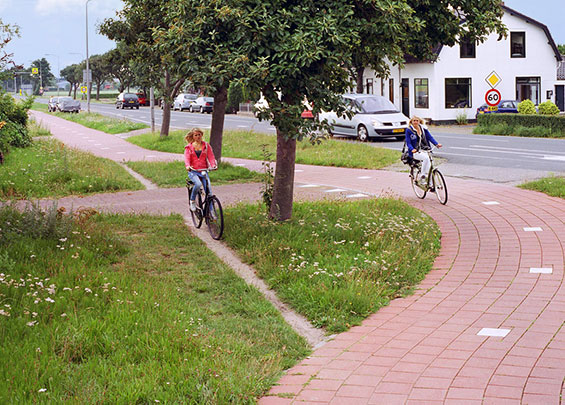 Olifantenpaadje in Teylingen