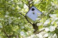 Vogelhuisje vierkant