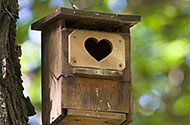 hartvorm als opening vogelhuisje